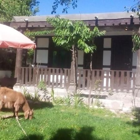 Resort Little Tibet Skardu Eksteriør bilde